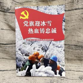 党旗迎冰雪热血铸忠诚 2008年浙江电力职工抗冰抢险群英谱