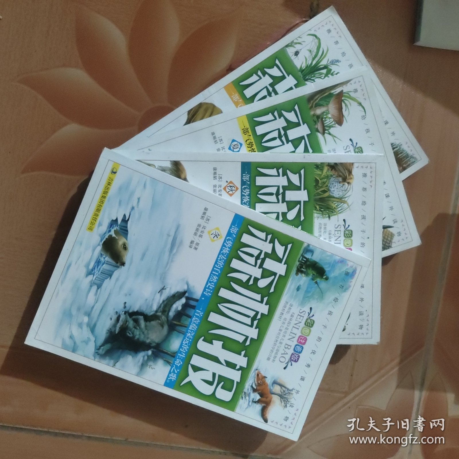 森林报 : 春夏秋冬(全四册)