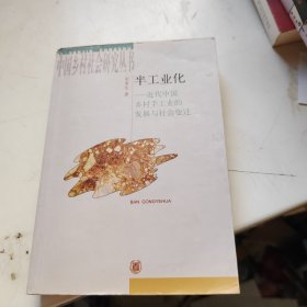 半工业化：近代中国乡村手工业的发展与社会变迁