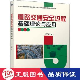 道路交通安全过程基础理论与应用 交通运输 王岩 新华正版
