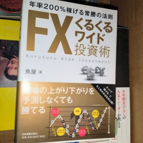 fx投资术