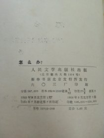 怎么办？ 馆藏正版无笔迹