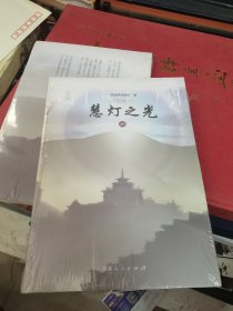 慧灯之光8（开启显密门扉，索达吉堪布作序推荐）