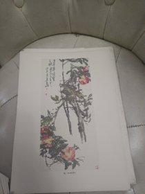 吴昌硕画集（册页12张全）海派大师