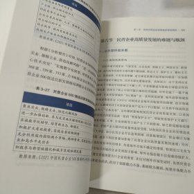 民营企业高质量发展路径