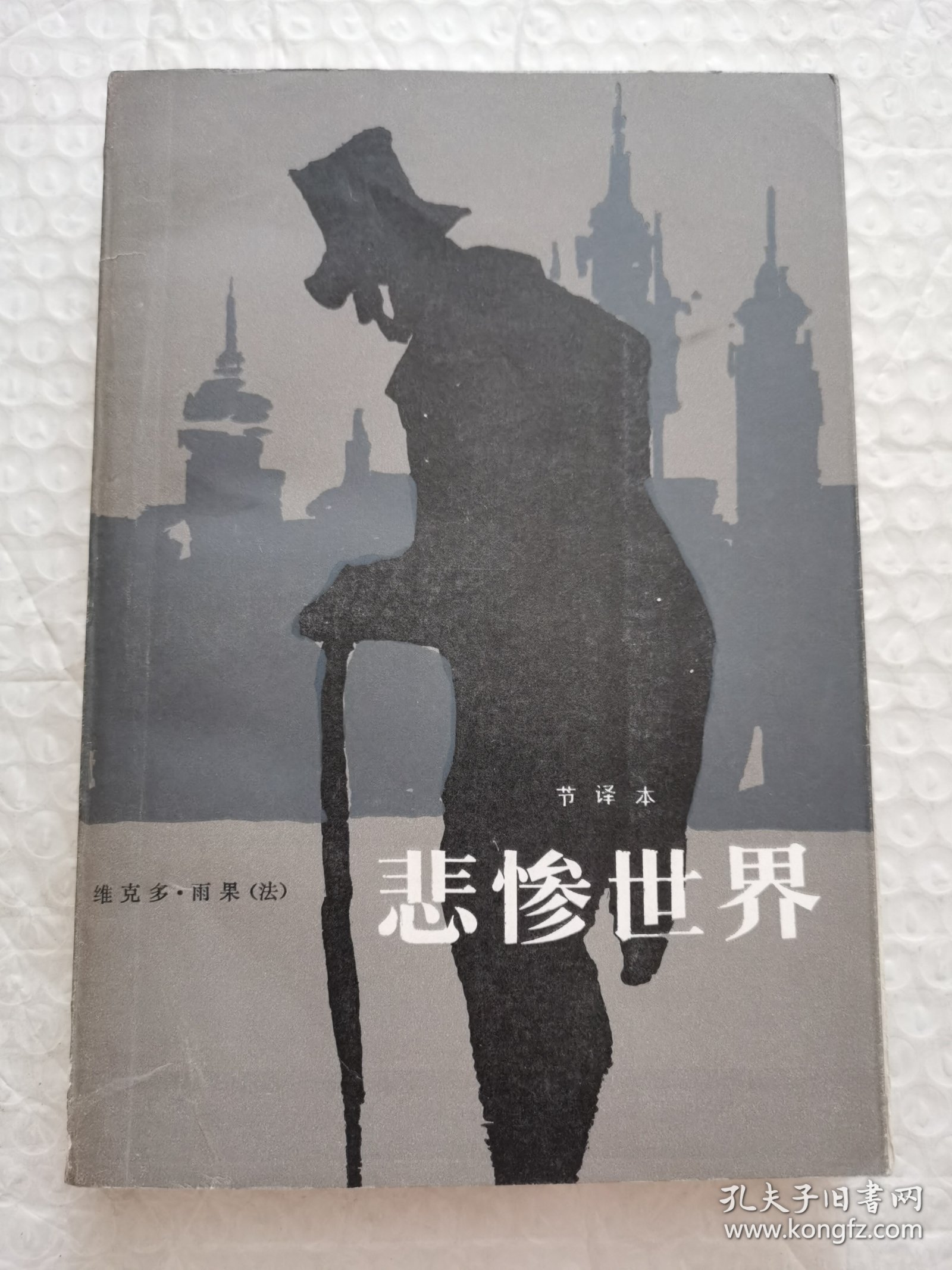 悲惨世界（节译本）