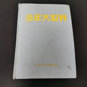 少年大世界 2004（1-12）合订本 小学高年级版