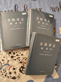 青海省志附录 上中下 未拆封