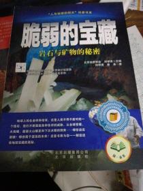 “人与地球的明天”科普书系·脆弱的宝藏：岩石与矿物的秘密（库存新书）