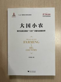 大国小农：现代化新征程的“三农”问题与战略抉择