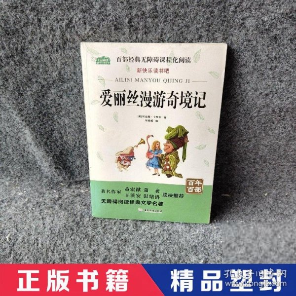 爱丽丝漫游奇境记小学教辅指定版附带考点题型训练阅读课外读物世界经典文学名著