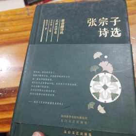 常春藤诗丛：张宗子诗选