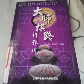 大师棋路：许银川