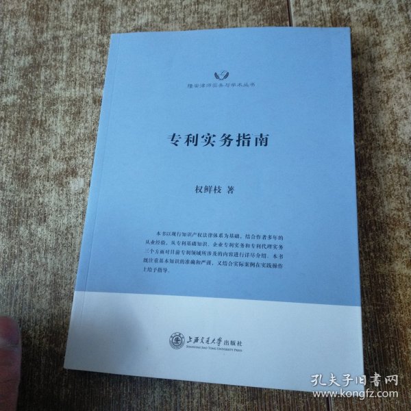 隆安律师实务与学术丛书：专利实务指南