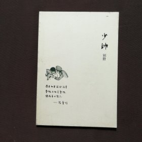 少帅 别册