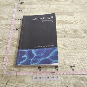 Metaphor (The New Critical Idiom) /9780415281669