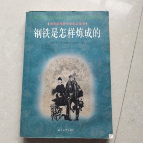 钢铁是怎样炼成的