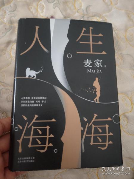 麦家：人生海海（茅盾文学奖得主麦家2019年强力之作）