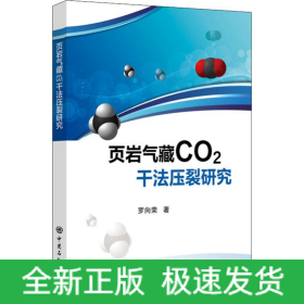 頁巖氣藏CO2干法壓裂研究