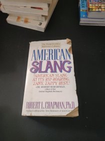 American Slang（外文书）