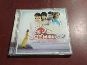 阳光总在风雨后 DVD 光盘