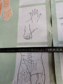 1970年沈阳医学院革命委员会教育革命组编绘（新针常用穴位参考图）一套3张。76㎝x52㎝。带语录。如图包老