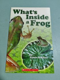 what's inside a frog