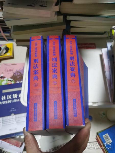 中华人民共和国案典系列-中华人民共和国刑法案典(平装)