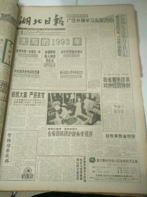 湖北日报1994年1月21日