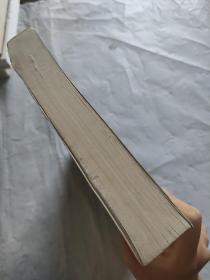 末日计划: 二战德国计划试验及冷门坦克装甲车辆全集