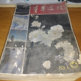 青年文摘1983年全年