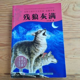 残狼灰满，动物小说大王，浓石溪，2025年，6月16号上，