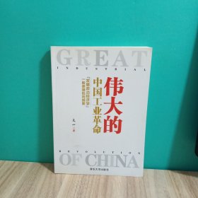 伟大的中国工业革命：“发展政治经济学”一般原理批判纲要