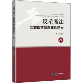 反垄断法实施指南制度建构研究