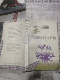 中国新生代诗赏析