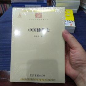 中华现代学术名著丛书--中国佛教史