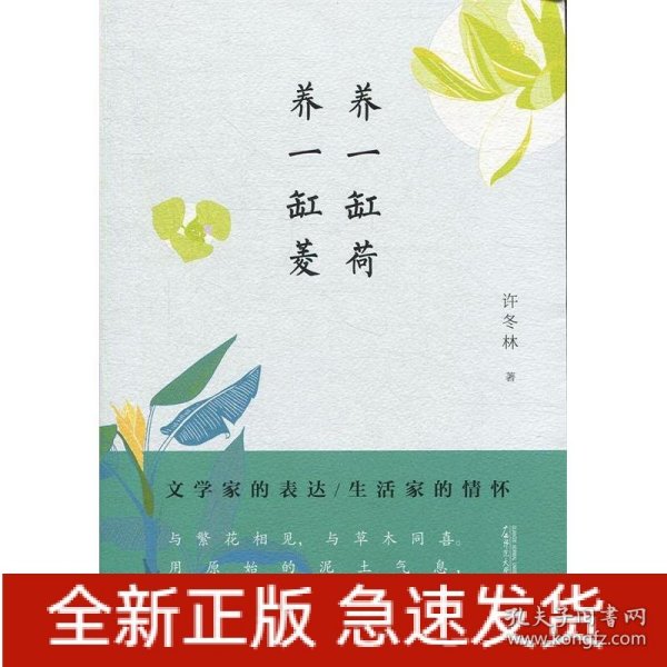 从前慢书系·养一缸荷，养一缸菱