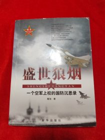 盛世狼烟：一个空军上校的国防沉思录