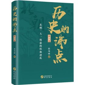 历史的沸点·第三卷（北朝：大一统前的铁血迷乱）