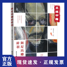 阿尼玛卿的碎羽 9787513919197