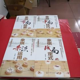 象棋入门与提高：象棋布局精要，象棋中局技巧，象棋杀法运用，象棋残局定式(全4册)