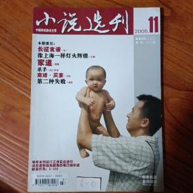 《小说选刊》  2006  11