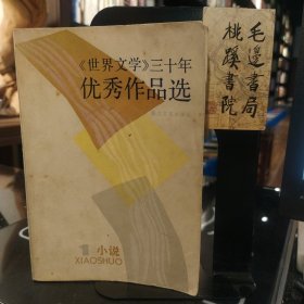 “世界文学”30年优秀作品选1