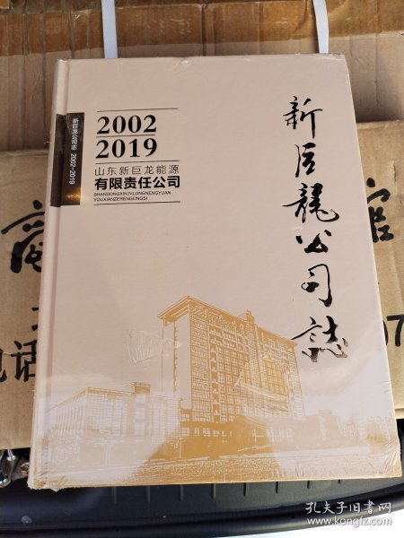 新巨龙公司志（2002一2019）