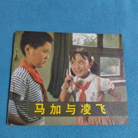 马加与凌飞