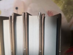 世界文学名著经典文库8本（双城记。狱中记。莫格街凶杀案。父与子 普希金秘密日记。死魂灵。五号屠场。忏悔录。亚玛）