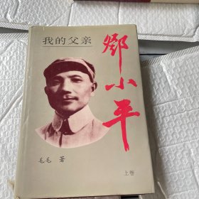 我的父亲邓小平（上册）