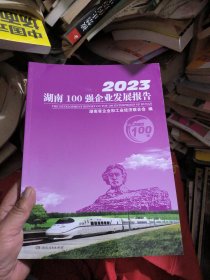 2023湖南100强企业发展报告（品佳）