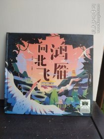 《鸿雁向北飞》