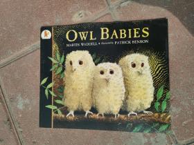 Owl Babies